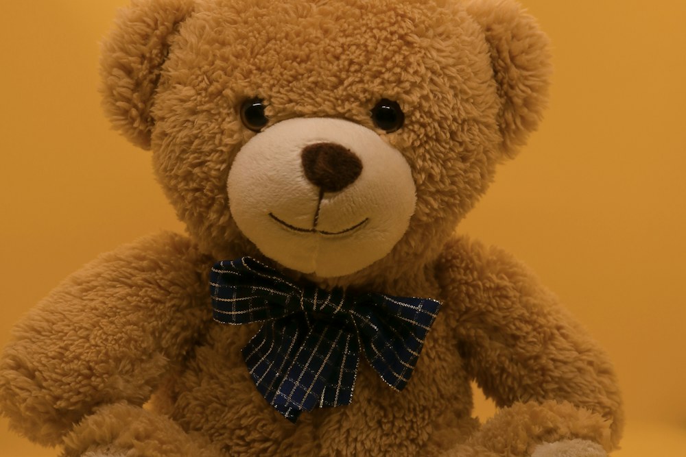 brown teddy bear with black and white bow tie; illustrative stock photograph